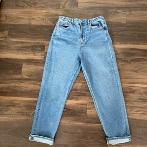 AE Curvy Mom Jean